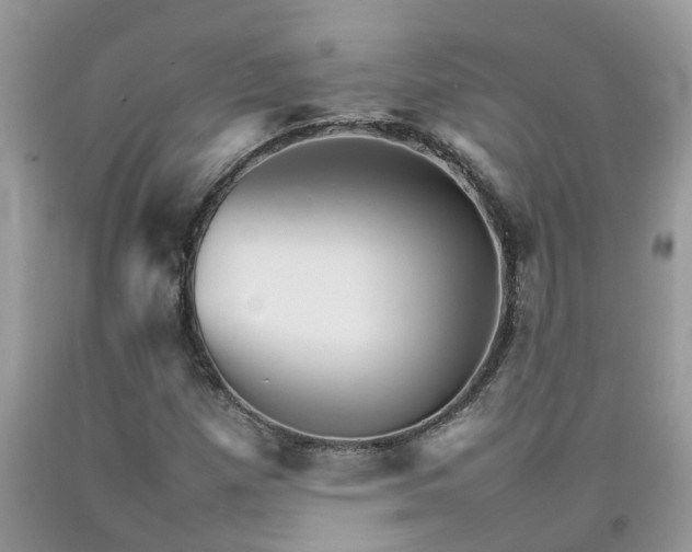 X0000092051257200709191113