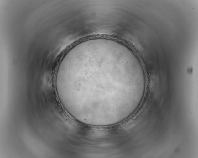 X0000092051258200709191113