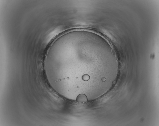 X0000092051259200709191113