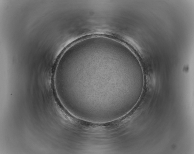 X0000092051260200709191113