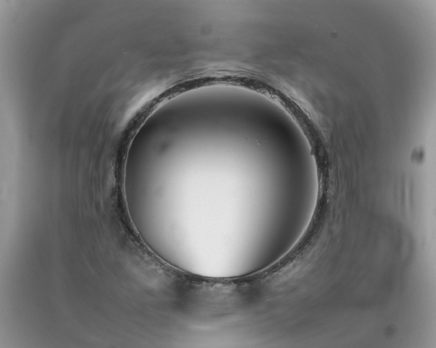 X0000092051261200709191113