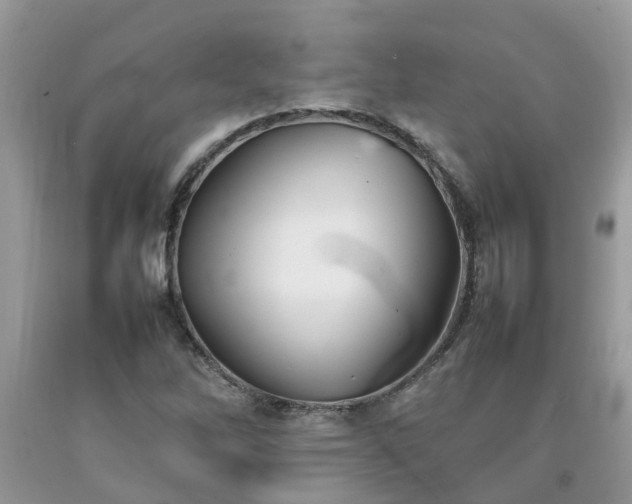 X0000092051262200709191113