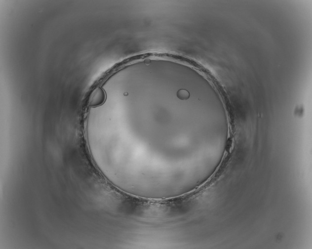 X0000092051263200709191113