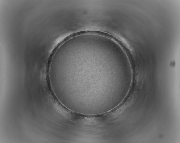 X0000092051264200709191113