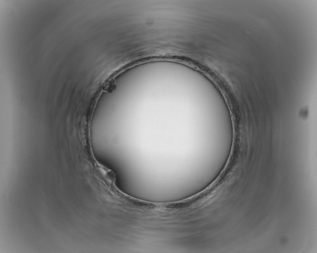 X0000092051265200709191113