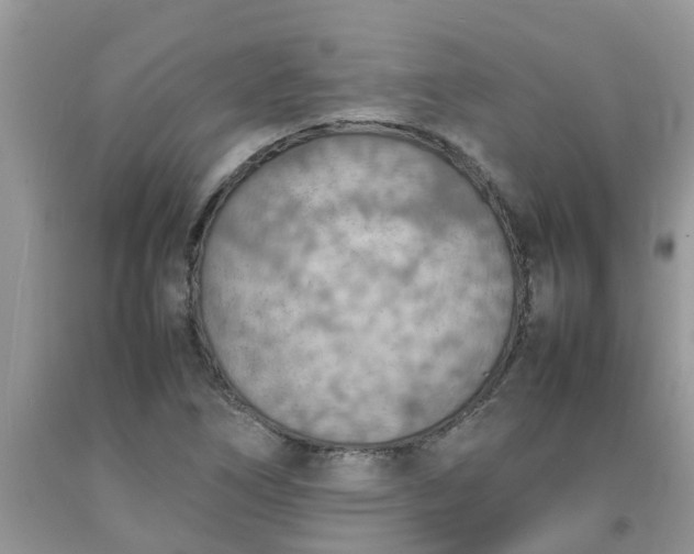 X0000092051266200709191113