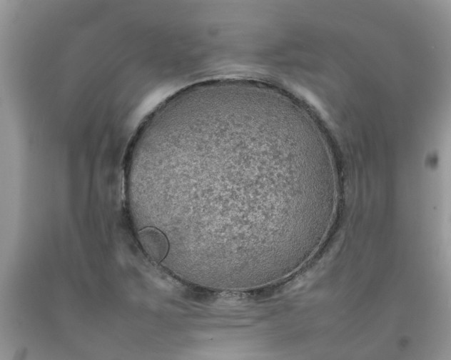 X0000092051267200709191113