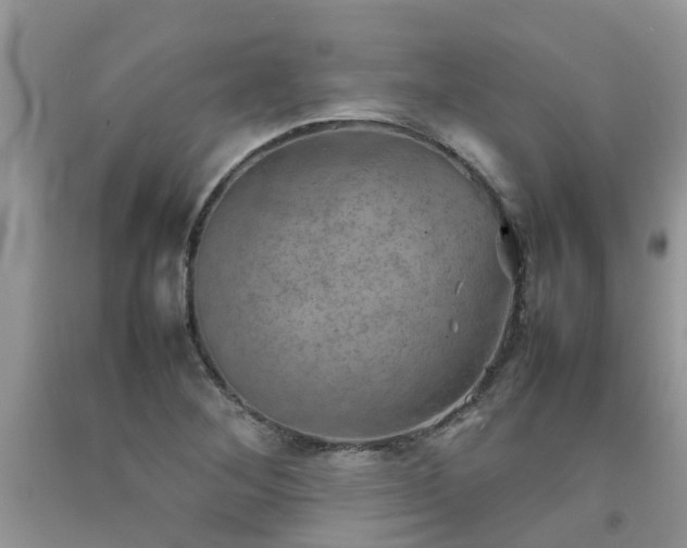 X0000092051268200709191113