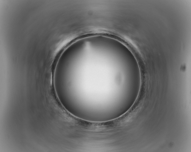 X0000092051269200709191113