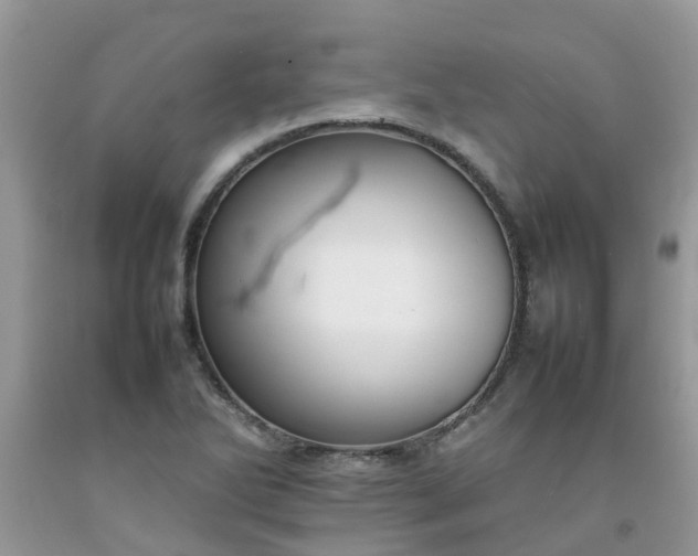 X0000092051270200709191113