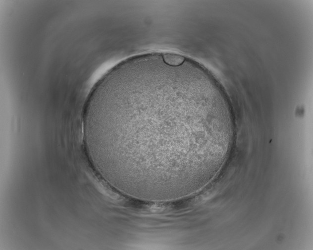 X0000092051271200709191113