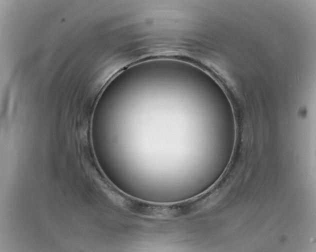 X0000092051273200709191113