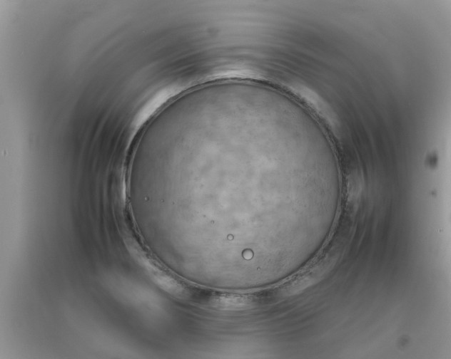 X0000092051274200709191113