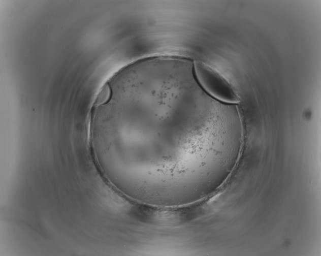 X0000092051275200709191113