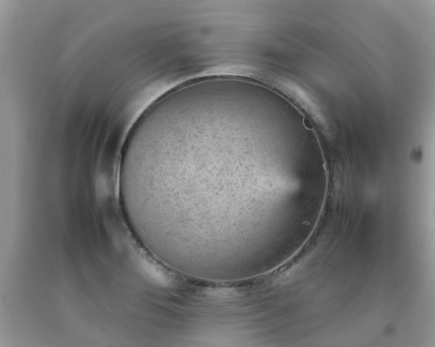 X0000092051276200709191113