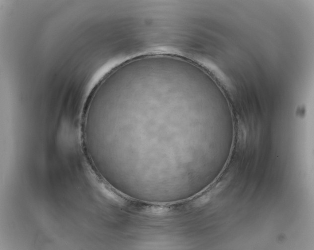 X0000092051278200709191113