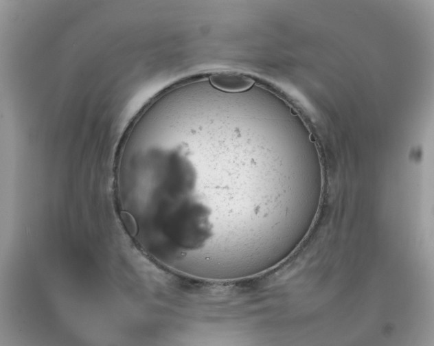 X0000092051279200709191113