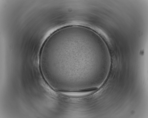 X0000092051280200709191113