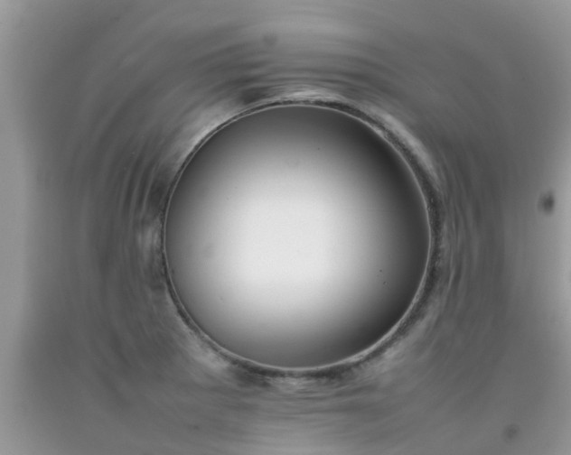 X0000092051281200709191113