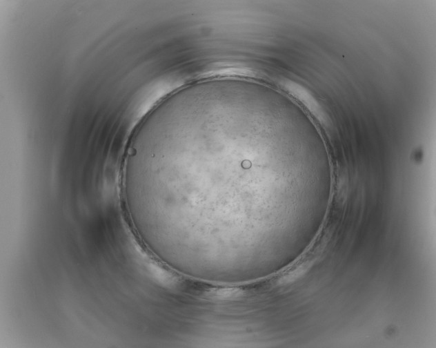 X0000092051282200709191113