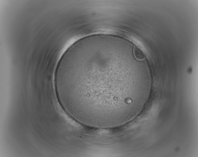 X0000092051283200709191113