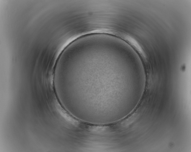 X0000092051284200709191113