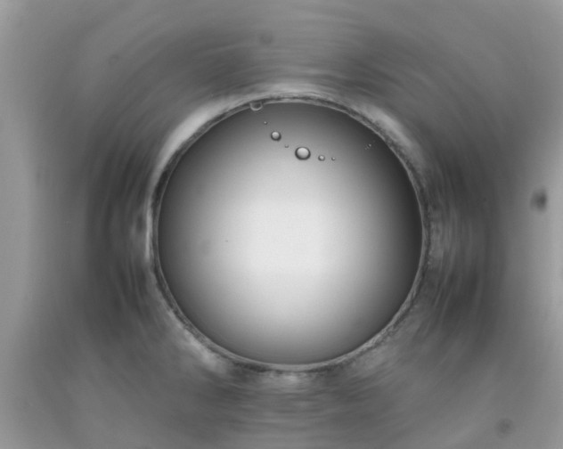 X0000092051286200709191113