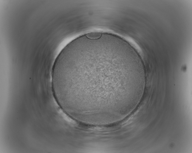 X0000092051287200709191113