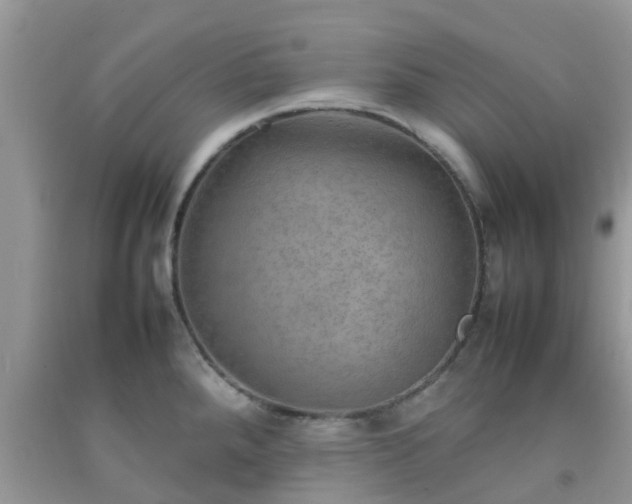 X0000092051288200709191113