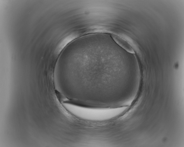 X0000092051289200709191113