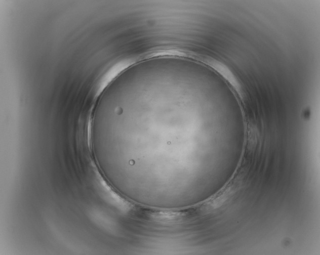 X0000092051290200709191113