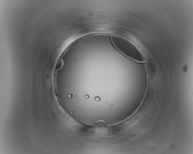 X0000092051291200709191113