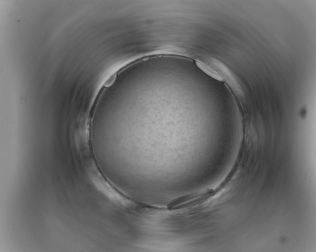 X0000092051292200709191113