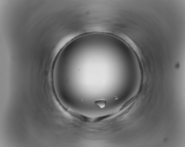 X0000092051293200709191113