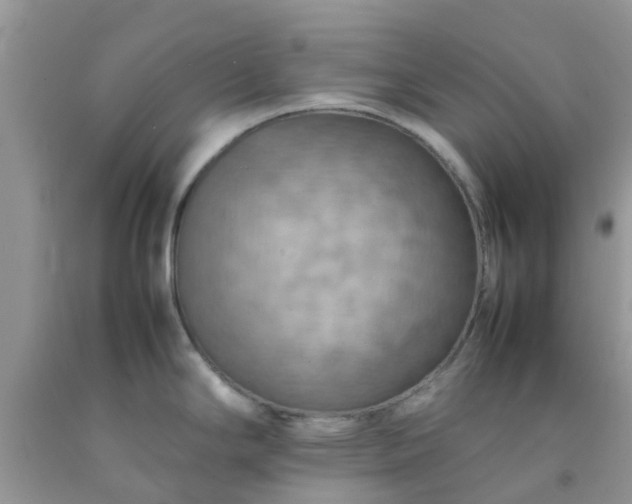 X0000092051294200709191113