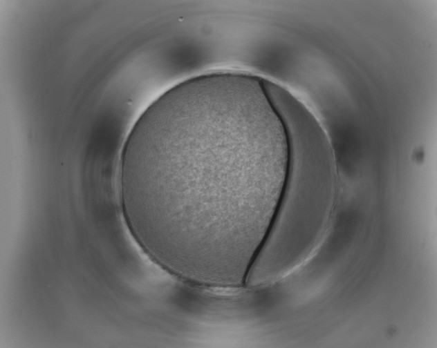 X0000092051295200709191113