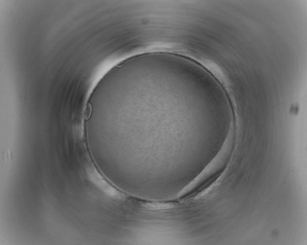 X0000092051296200709191113