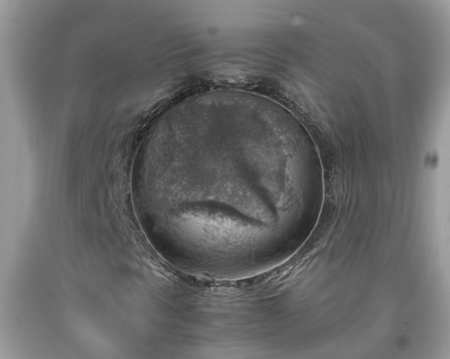 X0000092051297200709191112