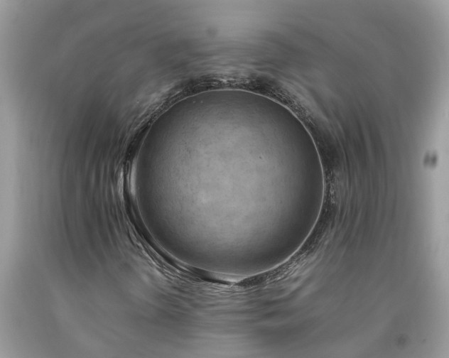 X0000092051298200709191112