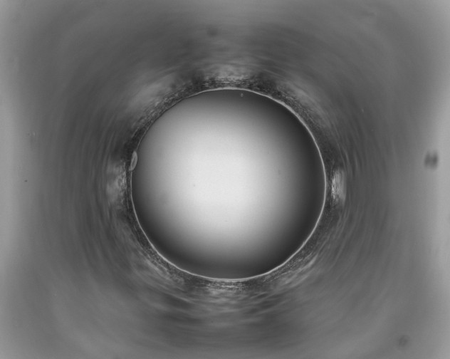 X0000092051299200709191112