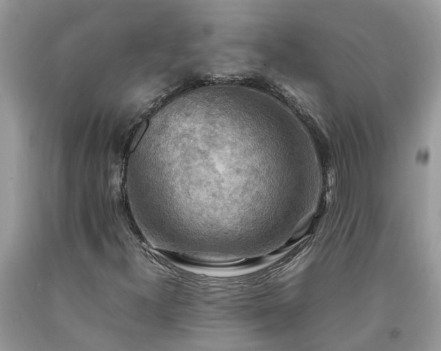 X0000092051300200709191112