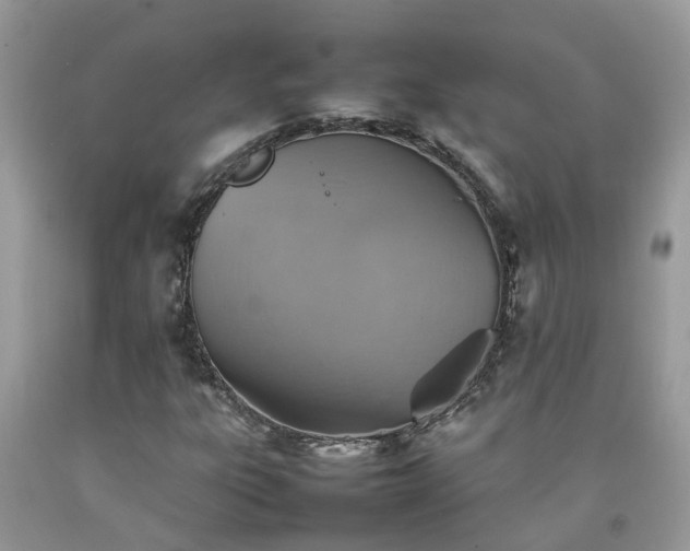 X0000092051303200709191112