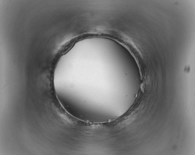 X0000092051304200709191112