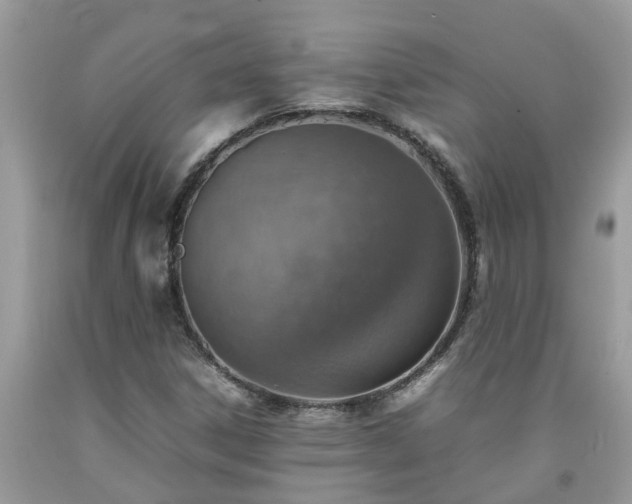 X0000092051306200709191112