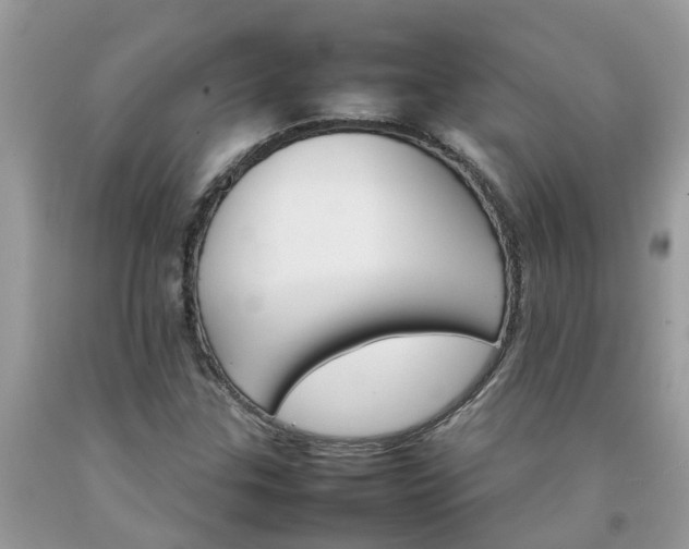 X0000092051307200709191112