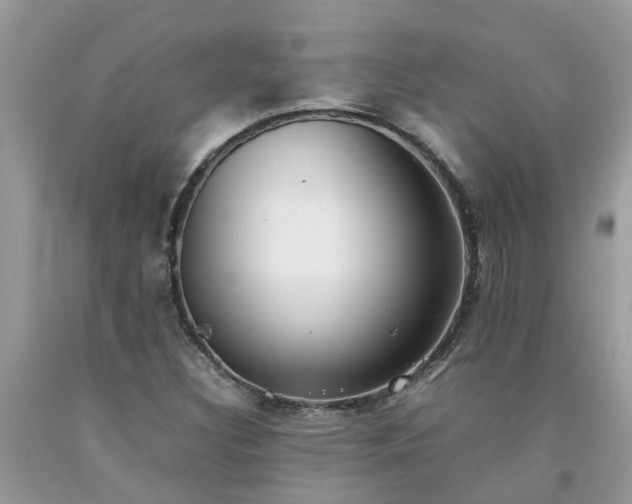 X0000092051308200709191112