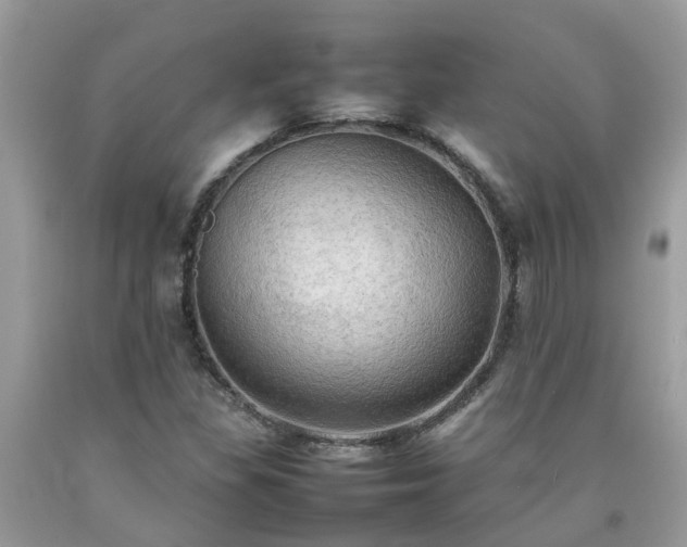 X0000092051309200709191112