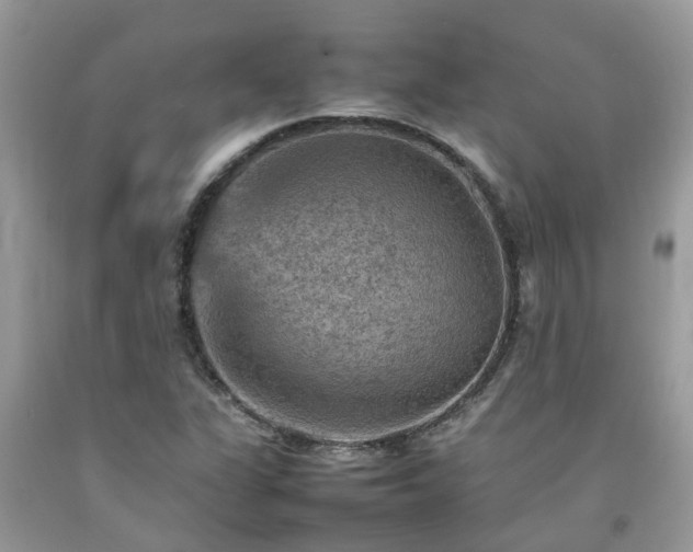 X0000092051311200709191112