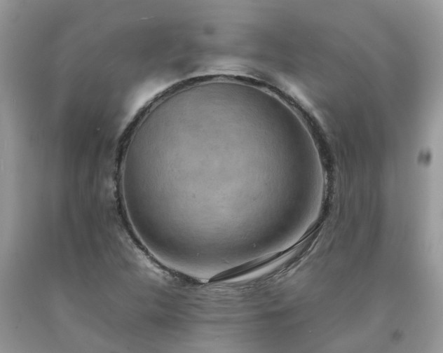 X0000092051312200709191112