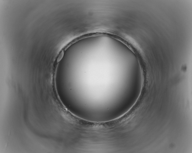 X0000092051316200709191113